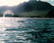Crystal Dolphin Rainbow Arc