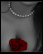 Rose and Female Form