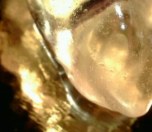 De-Stress Rhythmic Relaxation Amber Video