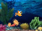The StressFish Fish Tank Of Stress The StressFish Fish Tank Of Stress