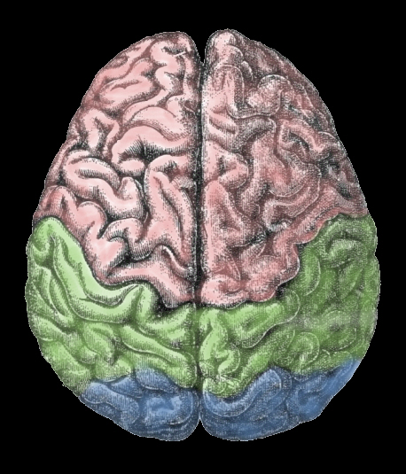 How Does YOUR Mind Work?