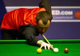 Mark Williams - The Model Temperament