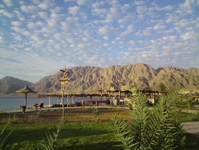 Al Sayadeen Nuweiba Egypt