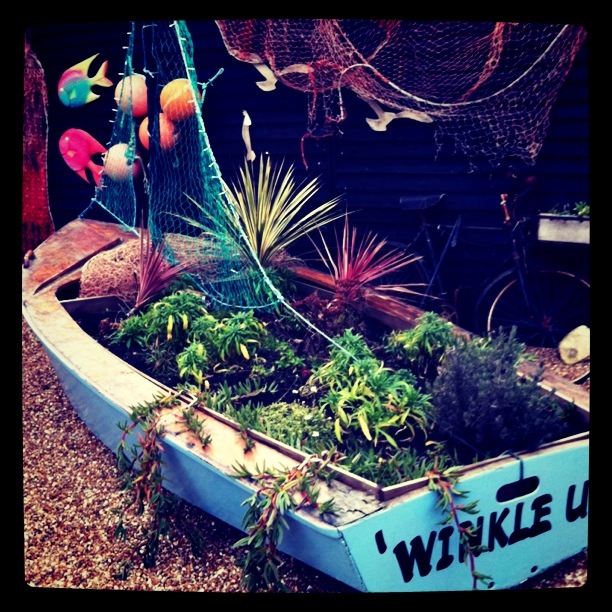 A trip to Hastings...