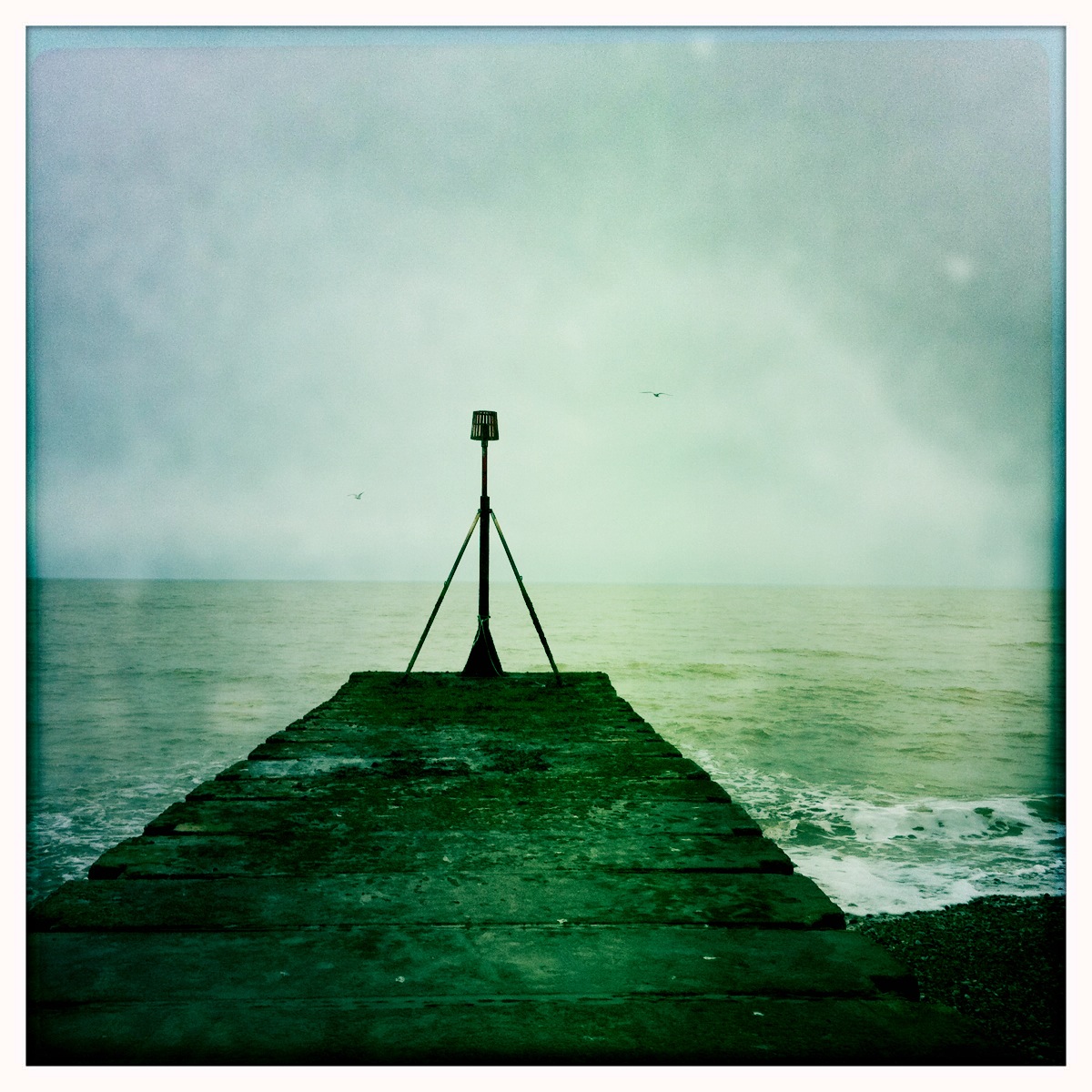 Staring out to sea...