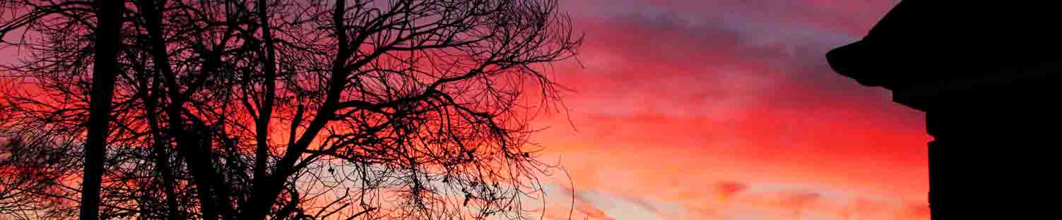 Kabbie's Novice Photography Blog