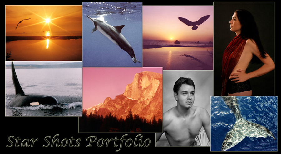 StarDewarPhotography.com