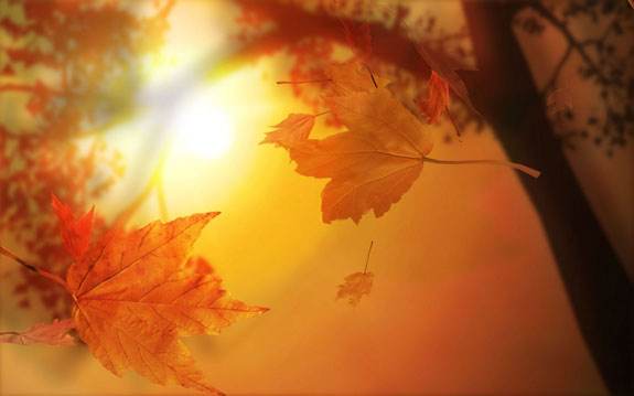 Musings 2 Inspire