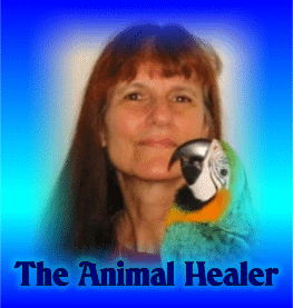 OLD AnimalHealer org