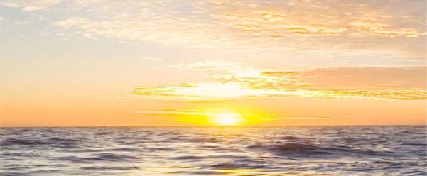 Inner Wisdom through Hypnosis ~ Aura Photography ~ Chakra Coaching