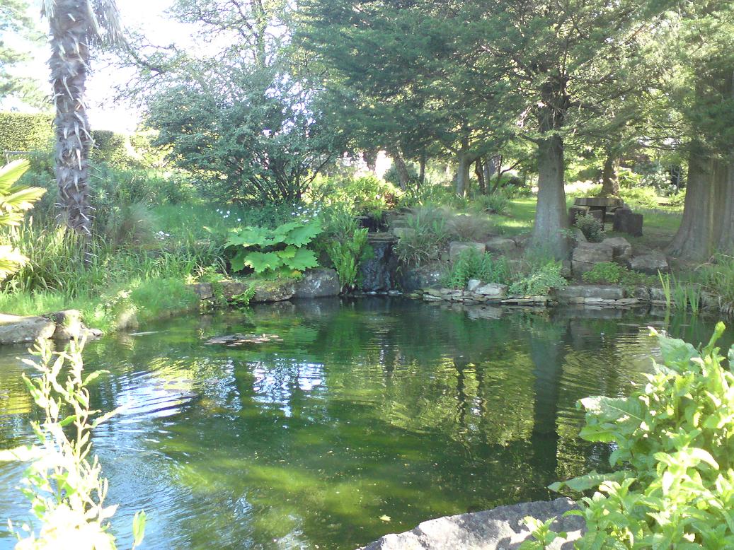 Fish pond and gardens at Sedgwick