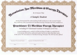 The GoE's New Practitoner Certificate