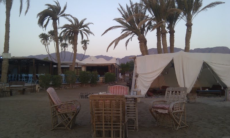 Our healing sanctuary, the bedouin tent on Habiba beach Nuweiba Sinai
