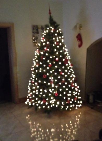Christmas Tree at Home