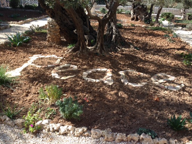 Garden of Gethsemane Garden of Gethsemane