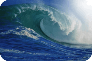 Waves of emotion need to flow Waves of emotion need to flow