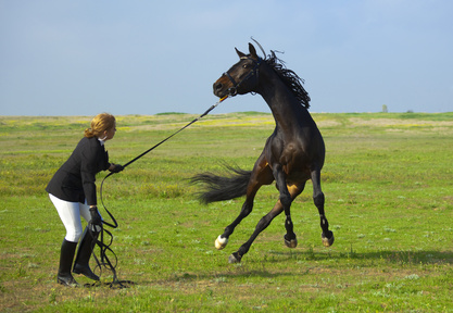 Falling off horse Falling off horse