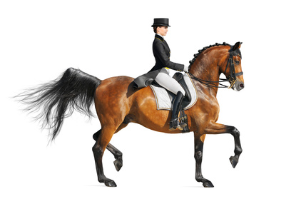 Dressage Dressage