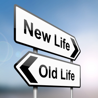 New life